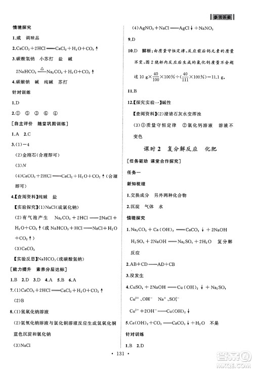 山东人民出版社2025年春初中同步练习册九年级化学下册人教版山东专版答案