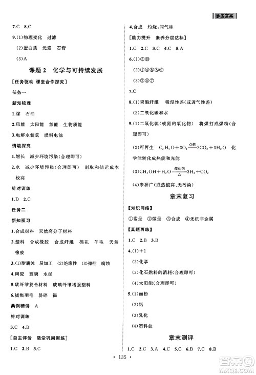 山东人民出版社2025年春初中同步练习册九年级化学下册人教版山东专版答案