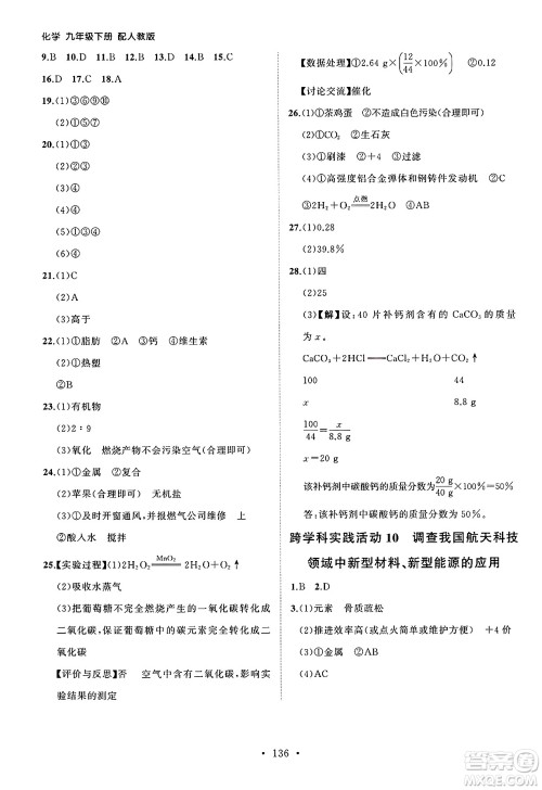 山东人民出版社2025年春初中同步练习册九年级化学下册人教版山东专版答案