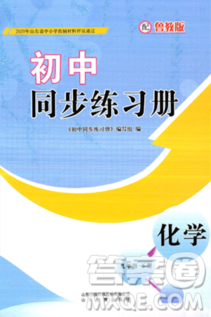 山东教育出版社2025年春初中同步练习册九年级化学下册鲁教版答案 山东教育出版社2025年春初中同步练习册九年级化学下册鲁教版答案