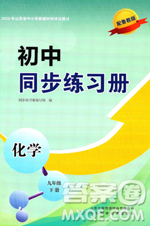 山东科学技术出版社2025年春初中同步练习册九年级化学下册鲁教版答案