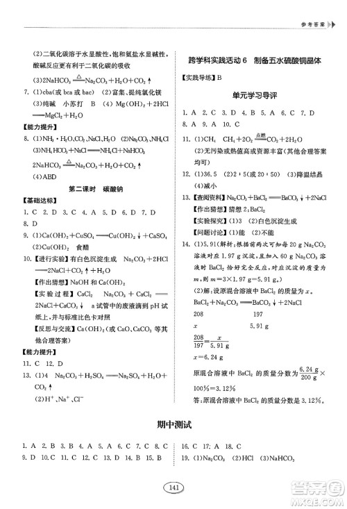 山东科学技术出版社2025年春初中同步练习册九年级化学下册鲁教版答案