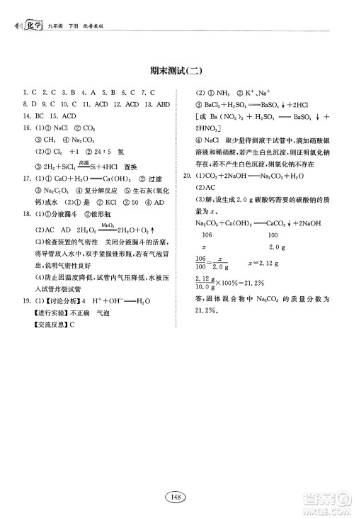 山东科学技术出版社2025年春初中同步练习册九年级化学下册鲁教版答案