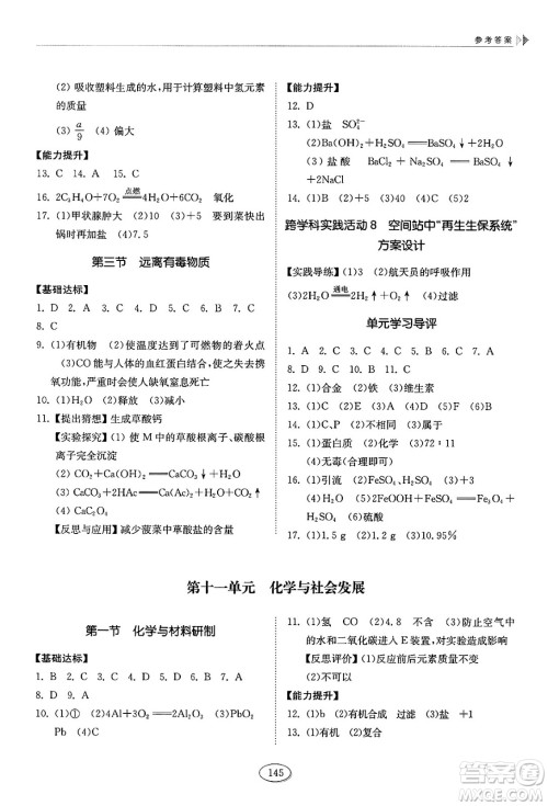 山东科学技术出版社2025年春初中同步练习册九年级化学下册鲁教版答案