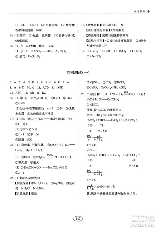 山东科学技术出版社2025年春初中同步练习册九年级化学下册鲁教版答案