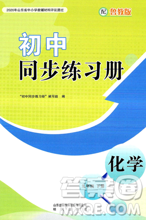 明天出版社2025年春初中同步练习册九年级化学下册鲁教版答案