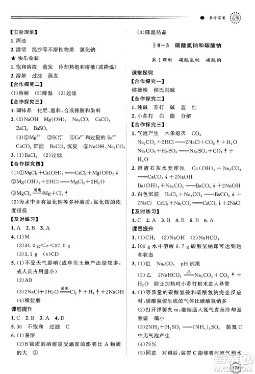 明天出版社2025年春初中同步练习册九年级化学下册鲁教版答案