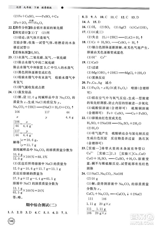 明天出版社2025年春初中同步练习册九年级化学下册鲁教版答案