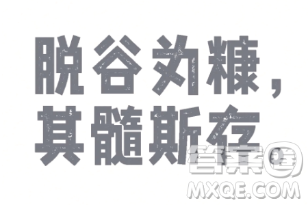 脱谷为糠其髓斯存材料作文800字 关于脱谷为糠其髓斯存的材料作文800字