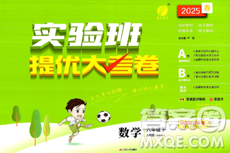 江苏人民出版社2025年春春雨教育实验班提优大考卷六年级数学下册人教版答案