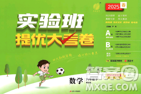 江苏人民出版社2025年春春雨教育实验班提优大考卷六年级数学下册青岛版答案