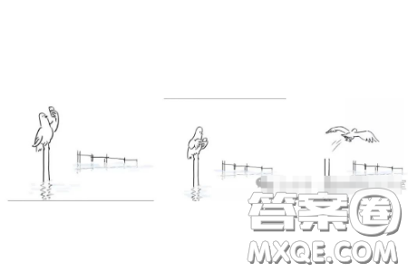 秀长腿漫画材料作文800字 关于秀长腿漫画的材料作文800字