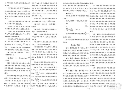 人民教育出版社2025年春初中同步测控优化设计九年级化学下册人教版答案