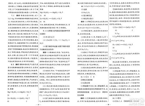人民教育出版社2025年春初中同步测控优化设计九年级化学下册人教版答案