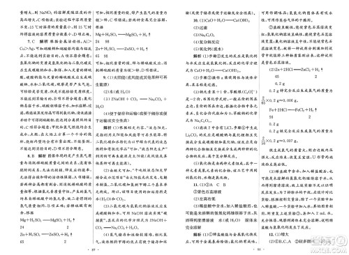 人民教育出版社2025年春初中同步测控优化设计九年级化学下册人教版陕西专版答案 人民教育出版社2025年春初中同步测控优化设计九年级化学下册人教版陕西专版答案