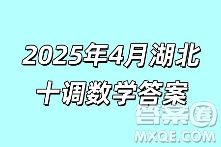 2025第十届湖北省高三4月调研模拟考试数学试卷答案