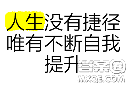 对问题的探索没有捷径材料作文800字