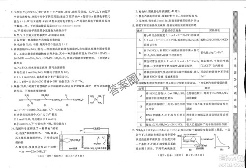 2025届H20高中联盟4月高三联考化学试卷答案 2025届H20高中联盟4月高三联考化学试卷答案