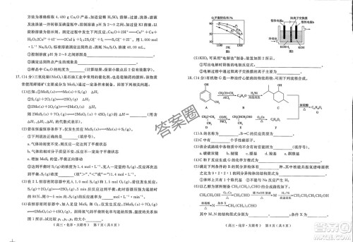2025届H20高中联盟4月高三联考化学试卷答案 2025届H20高中联盟4月高三联考化学试卷答案