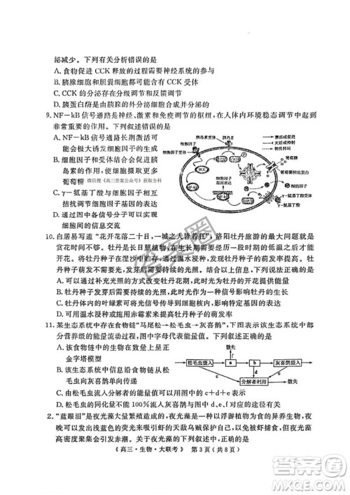 2025届H20高中联盟4月高三联考生物试卷答案