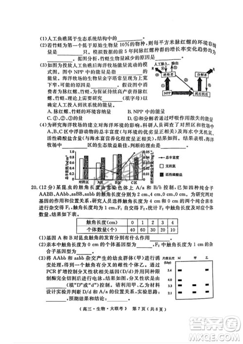 2025届H20高中联盟4月高三联考生物试卷答案