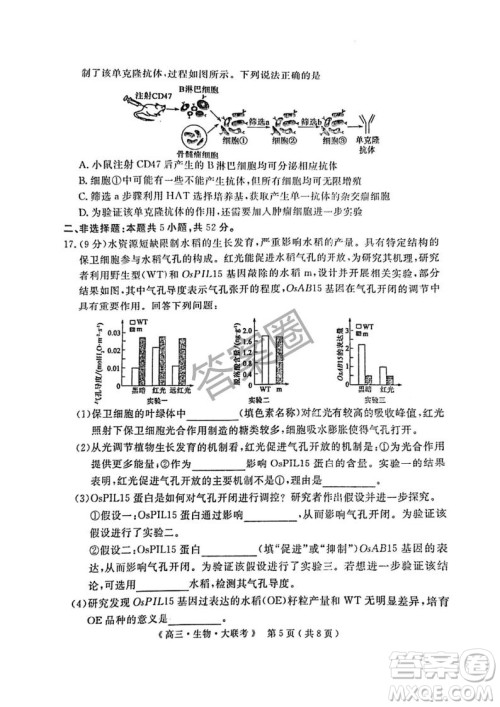 2025届H20高中联盟4月高三联考生物试卷答案