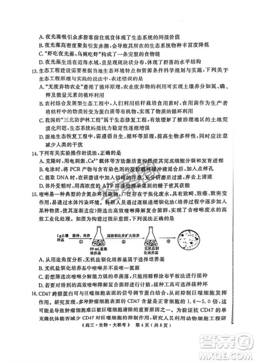 2025届H20高中联盟4月高三联考生物试卷答案