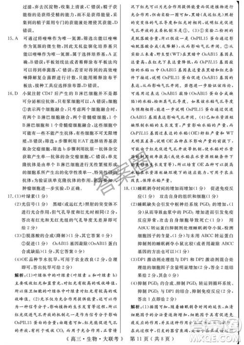 2025届H20高中联盟4月高三联考生物试卷答案