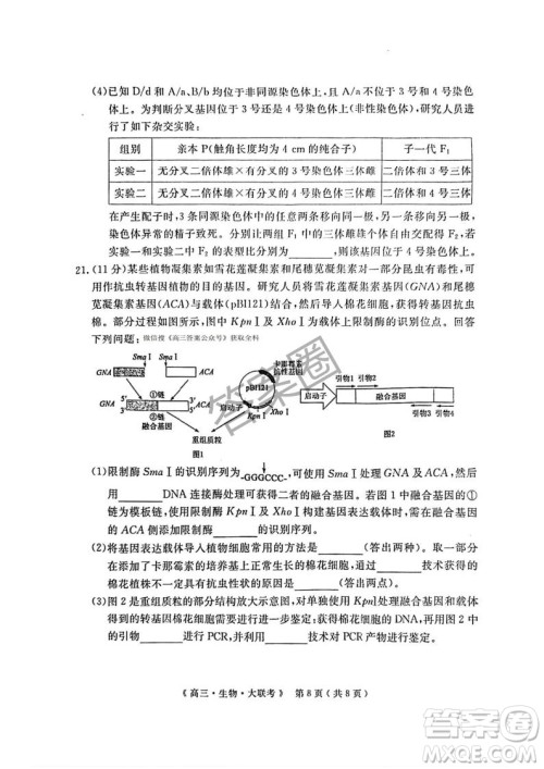 2025届H20高中联盟4月高三联考生物试卷答案