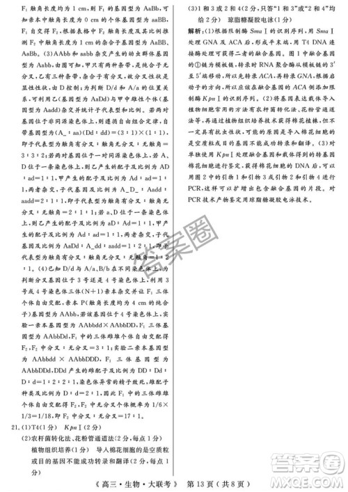 2025届H20高中联盟4月高三联考生物试卷答案