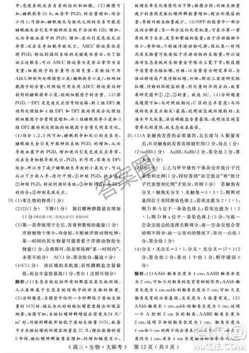 2025届H20高中联盟4月高三联考生物试卷答案