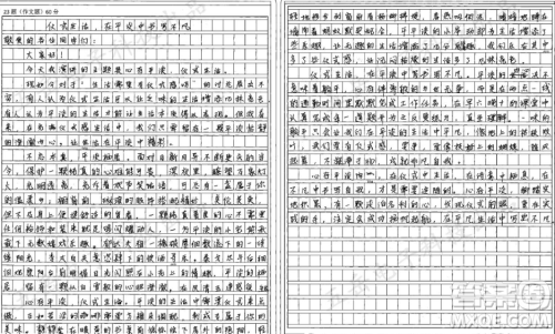 生活需要仪式感和平平淡淡才是真材料作文800字