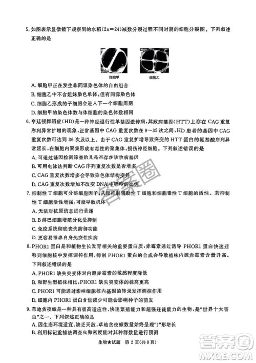 2025年4月青桐鸣大联考高三生物试卷答案 2025年4月青桐鸣大联考高三生物试卷答案