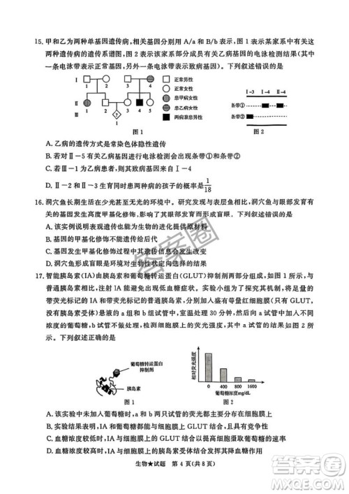 2025年4月青桐鸣大联考高三生物试卷答案 2025年4月青桐鸣大联考高三生物试卷答案