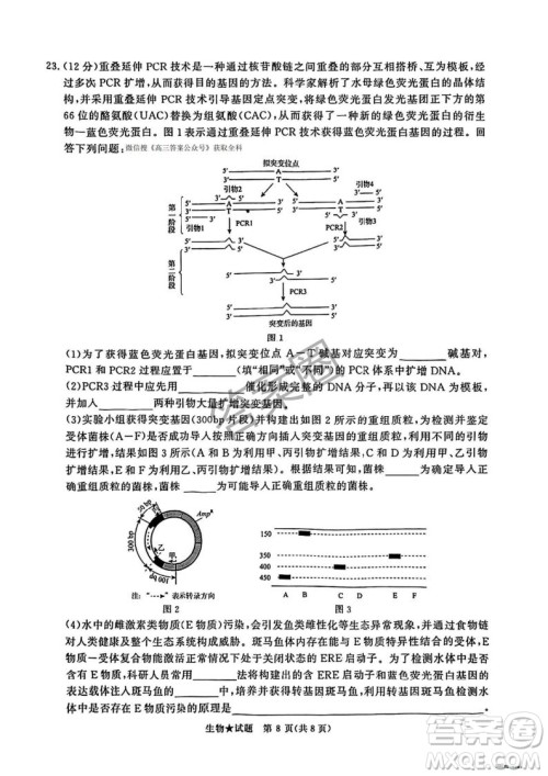 2025年4月青桐鸣大联考高三生物试卷答案 2025年4月青桐鸣大联考高三生物试卷答案