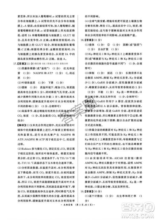 2025年4月青桐鸣大联考高三生物试卷答案 2025年4月青桐鸣大联考高三生物试卷答案