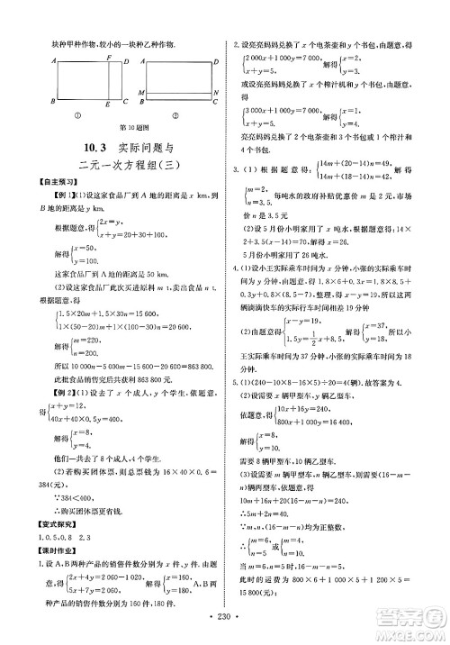 长江少年儿童出版社2025年春长江全能学案同步练习册七年级数学下册人教版答案 长江少年儿童出版社2025年春长江全能学案同步练习册七年级数学下册人教版答案