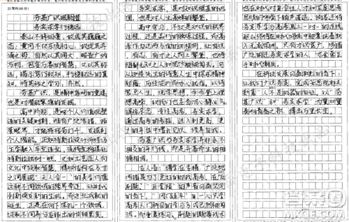 高中是打好基础的阶段应广泛涉猎还是专注高考材料作文800字 高中是打好基础的阶段应广泛涉猎还是专注高考材料作文800字
