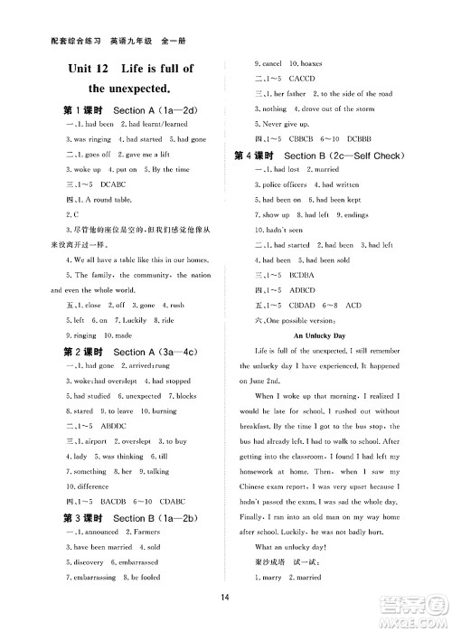 北京师范大学出版社2025年春配套综合练习九年级英语下册人教版答案 北京师范大学出版社2025年春配套综合练习九年级英语下册人教版答案