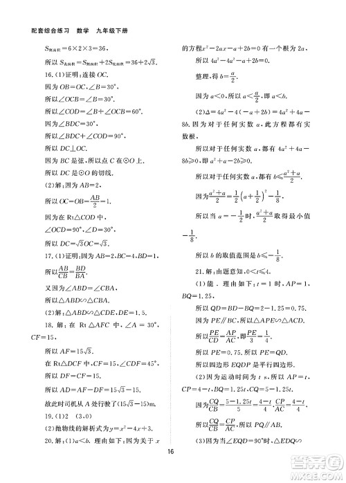 北京师范大学出版社2025年春配套综合练习九年级数学下册人教版答案