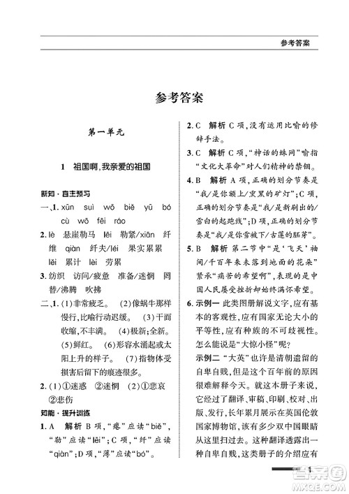 北京师范大学出版社2025年春配套综合练习九年级语文下册通用版答案
