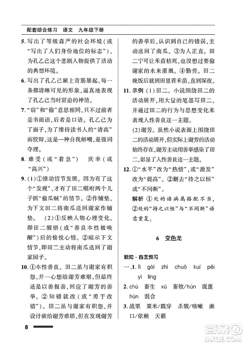 北京师范大学出版社2025年春配套综合练习九年级语文下册通用版答案