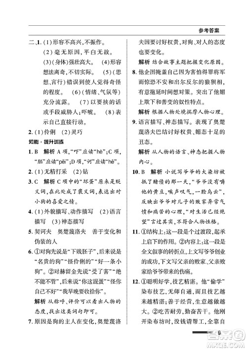 北京师范大学出版社2025年春配套综合练习九年级语文下册通用版答案