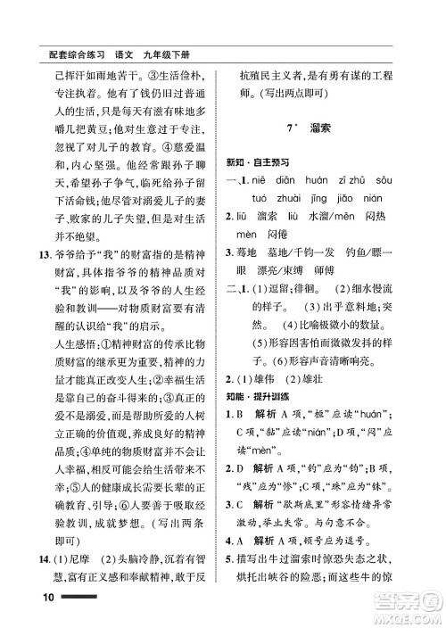 北京师范大学出版社2025年春配套综合练习九年级语文下册通用版答案