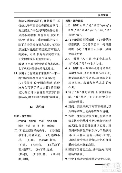 北京师范大学出版社2025年春配套综合练习九年级语文下册通用版答案