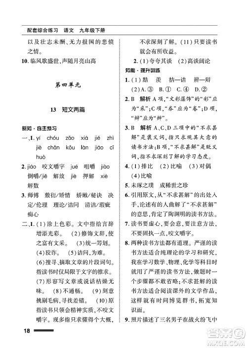 北京师范大学出版社2025年春配套综合练习九年级语文下册通用版答案