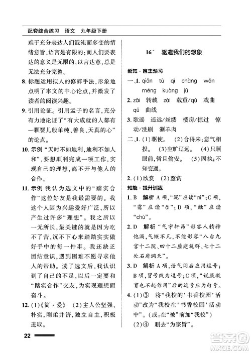 北京师范大学出版社2025年春配套综合练习九年级语文下册通用版答案