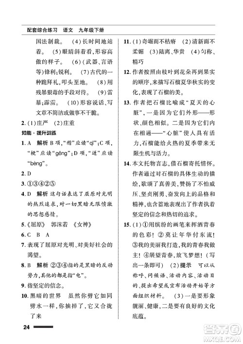 北京师范大学出版社2025年春配套综合练习九年级语文下册通用版答案