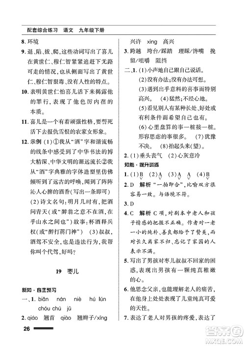 北京师范大学出版社2025年春配套综合练习九年级语文下册通用版答案