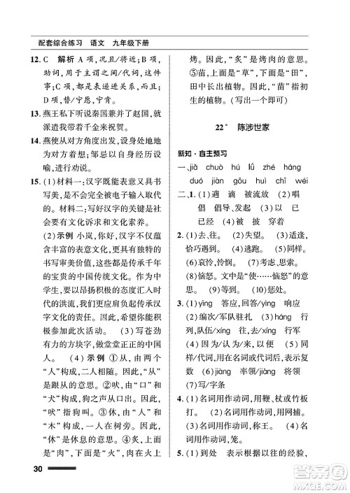 北京师范大学出版社2025年春配套综合练习九年级语文下册通用版答案